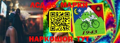 амф Новодвинск